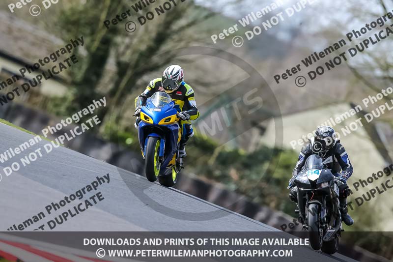 Oulton Park 21st March 2020;PJ Motorsport Photography 2020;anglesey;brands hatch;cadwell park;croft;donington park;enduro digital images;event digital images;eventdigitalimages;mallory;no limits;oulton park;peter wileman photography;racing digital images;silverstone;snetterton;trackday digital images;trackday photos;vmcc banbury run;welsh 2 day enduro